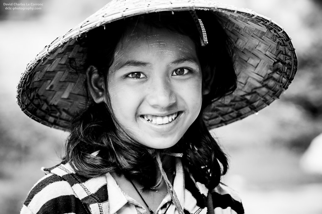 Portrait Birman